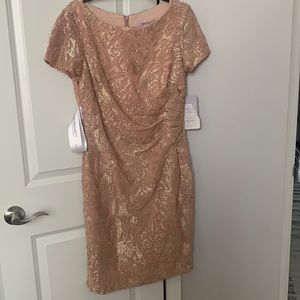 JS collection size 12